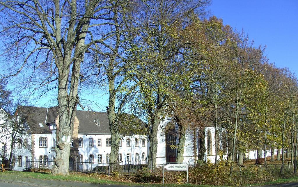 Hotel Restaurant Schmidter Bauernstube Nideggen Buitenkant foto